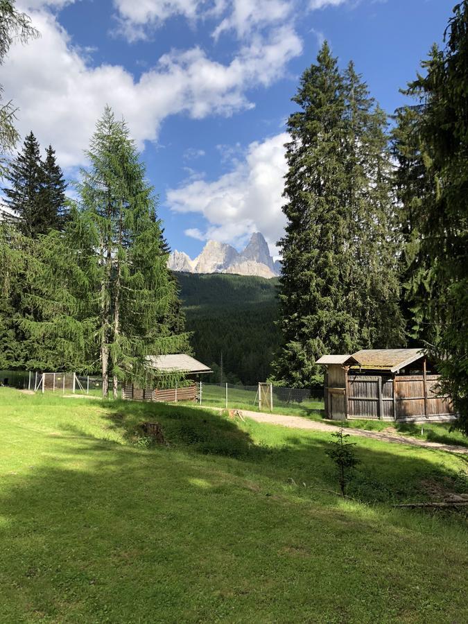 Albergo La Bicocca Paneveggio Luaran gambar