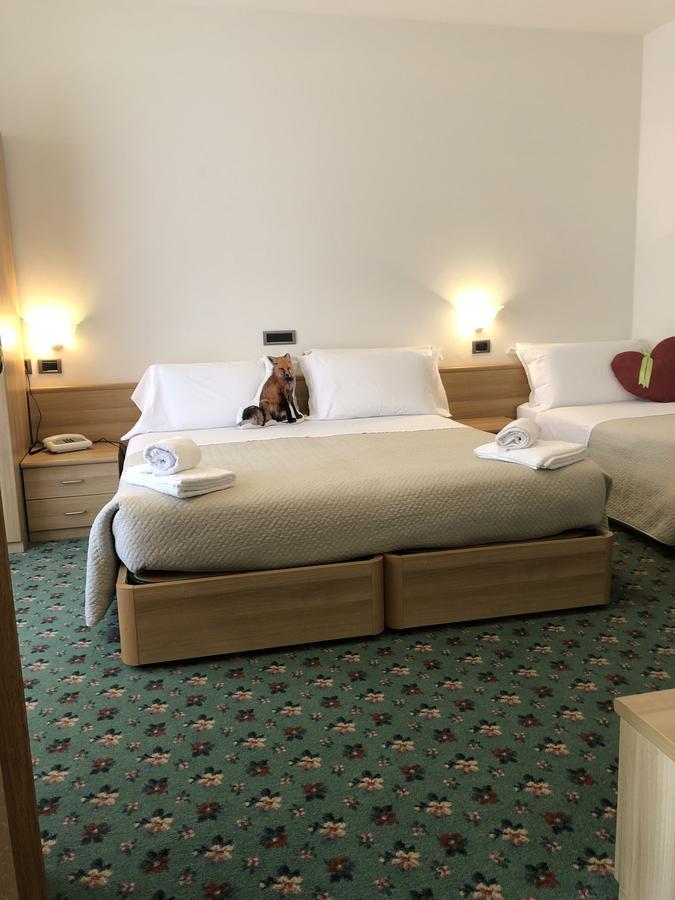 Albergo La Bicocca Paneveggio Luaran gambar